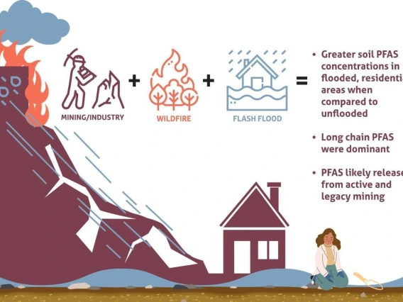 Abstract: Toxic layering and compound extremes: Per- and polyfluoroalkyl substances (PFAS) exposure in rural, environmental justice copper mining communities