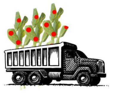 phytoextraction truck