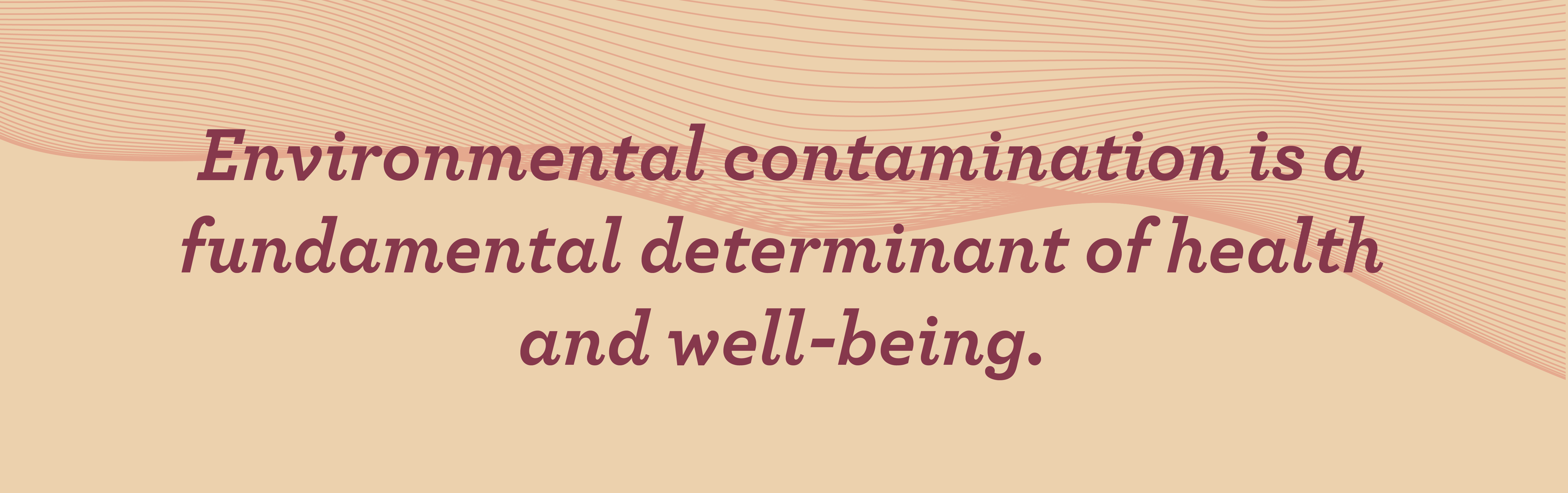 Environmental contamination is a fundamental determinant of health and well-being.