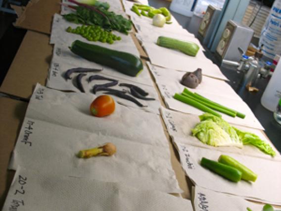 Table of vegetables