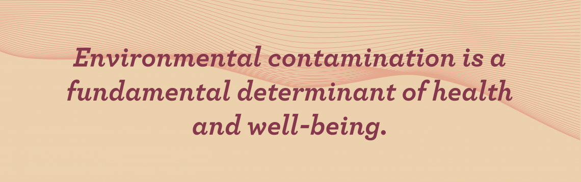 Environmental contamination is a fundamental determinant of health and well-being.