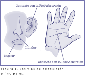 Toxicologia Ambiental