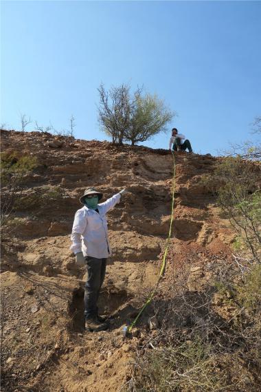 Research Technician Jessica Ledesma and Professor Dr. Craig Rasmussen measuring the depth of a soil profile in San Manuel after taking chemical and microbial soil samples. 