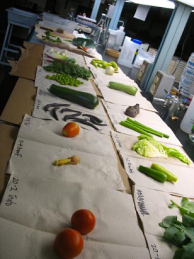 Table of vegetables